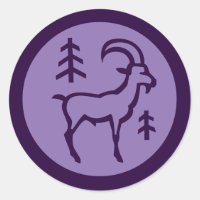 Capricorn Zodiac Sign