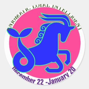 Capricorn Zodiac sign Personalised Sticker