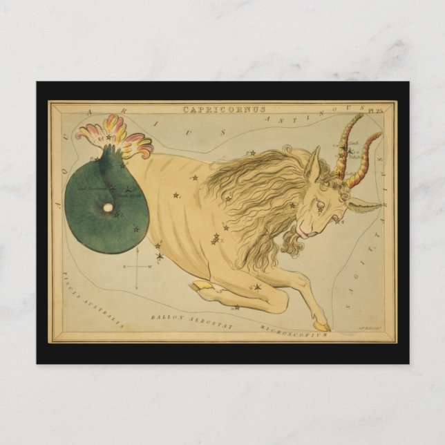 Capricornus (Capricorn) Postcard (Front)