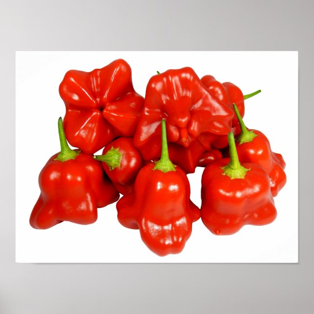 Capsicum Chinense Chili Poster (Front)