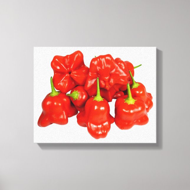 Capsicum Chinense Chilli Stretched Canvas Print (Front)