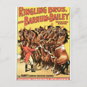Capt. Barry's Famous Educated Equines Retro Theate Postcard