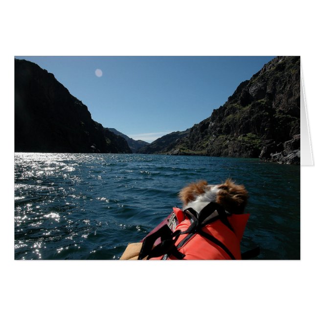 Captain Brit (Front Horizontal)