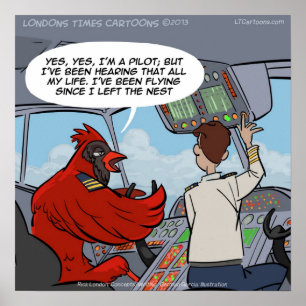 Captain Byrd Cardinal Pilot Flies Jet Funny Poster
