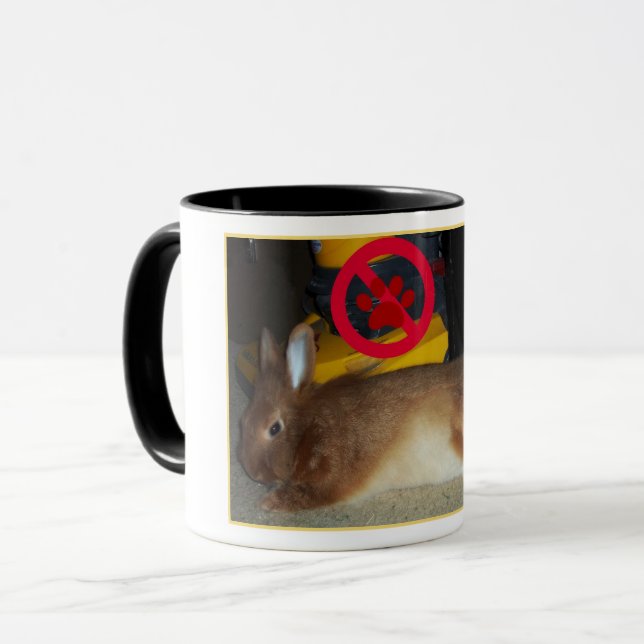 Captain Carrots Bunny Rabbit No Vacuums Mug (Front Left)