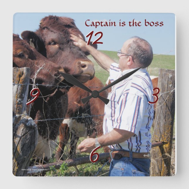 Captain Pinzgauer bull clock (Front)