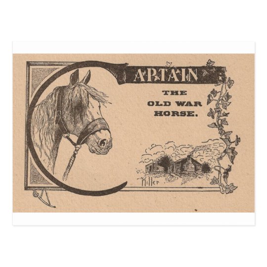 Captain The Old War Horse Postcard