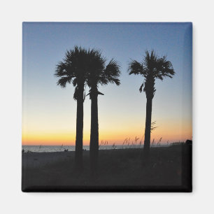Captiva Island Palm Trees at Sunset Florida Magnet