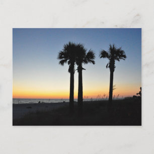Captiva Island Palm Trees Sunset Florida Postcard