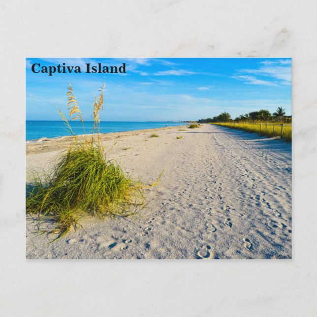 Captiva Island postcard (Front)