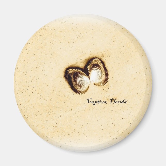 Captiva Shells Magnet (Front)