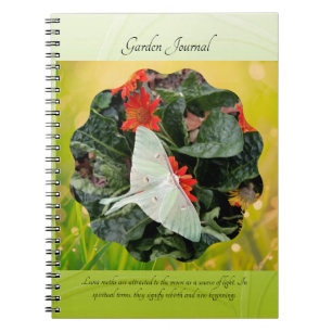 Captivating Luna Moth      Notebook
