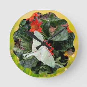 Captivating Luna Moth   Round Clock