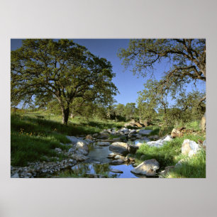 Captivating Nature Poster