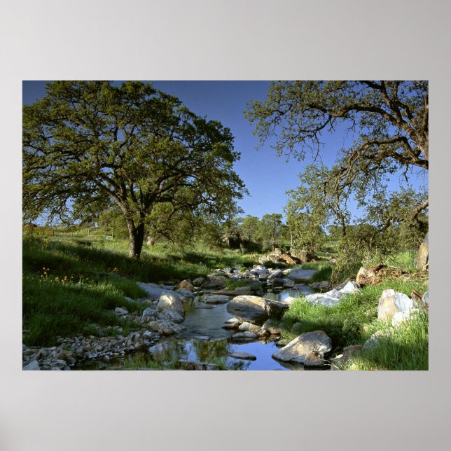 Captivating Nature Poster (Front)