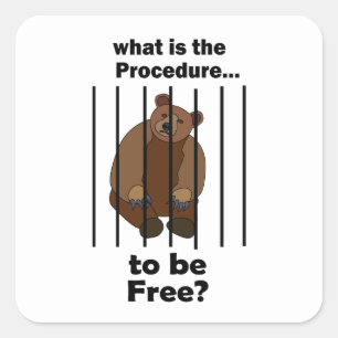 Captive Animal Bear Asking Procedure To Be Free Square Sticker