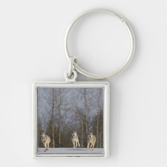 Captive, Duluth, Minnesota, USA 2 Key Ring (Front)