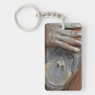 Captive female Sumatran Orangutan Key Ring