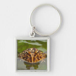 Captive, Nebraska, USA Key Ring