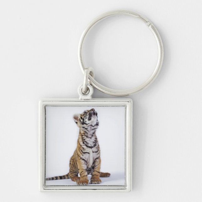 Captive, South Africa 2 Key Ring (Front)