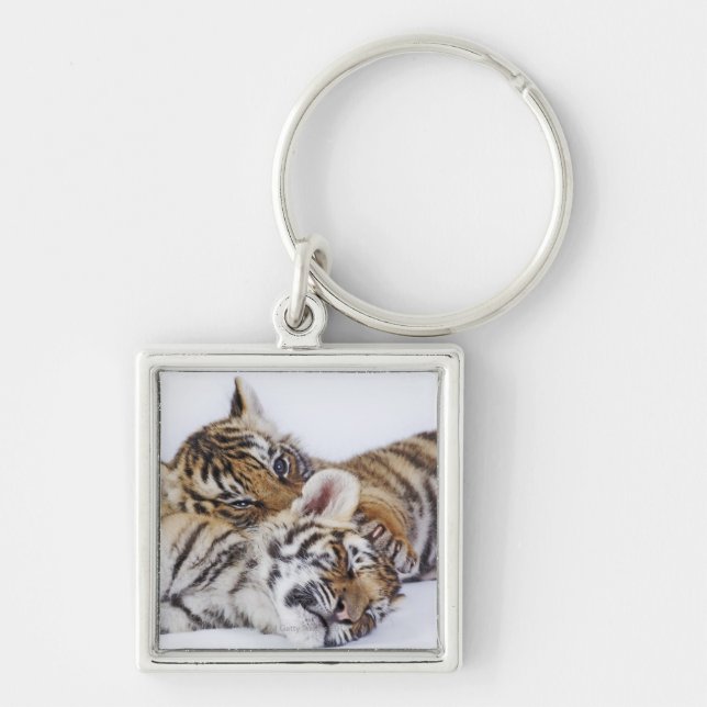 Captive, South Africa 4 Key Ring (Front)
