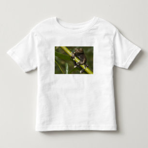 Captive Tapichalaca Tree Frog Hyloscirtus 2 Toddler T-Shirt