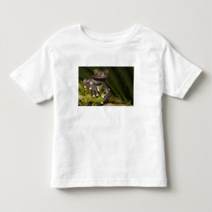 Captive Tapichalaca Tree Frog Hyloscirtus 3 Toddler T-Shirt