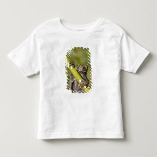 Captive Tapichalaca Tree Frog Hyloscirtus Toddler T-Shirt