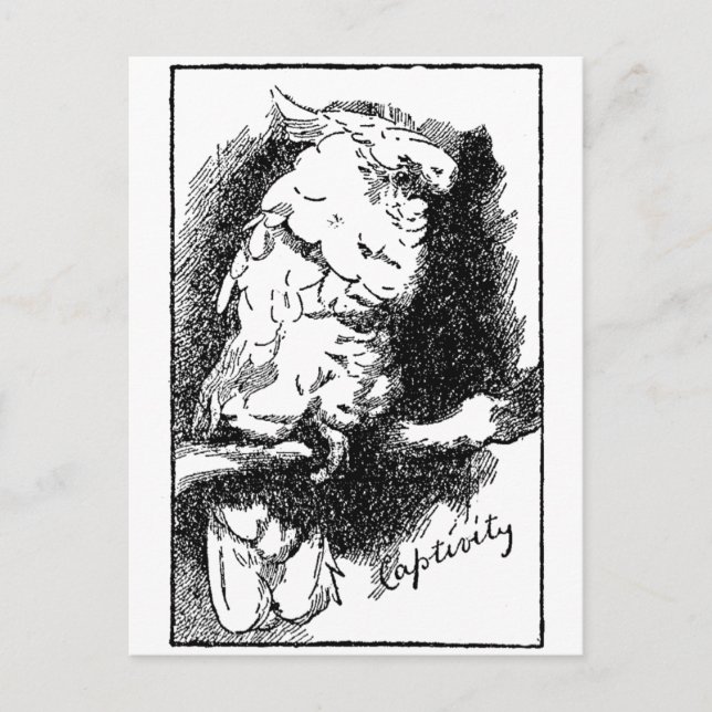 Captivity Postcard (Front)