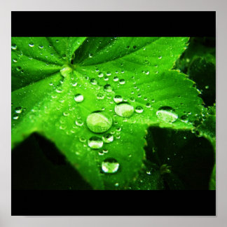 Capture the rain poster