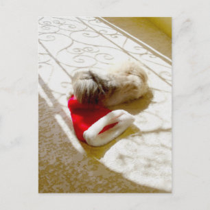 Captured Santa Holiday Postcard