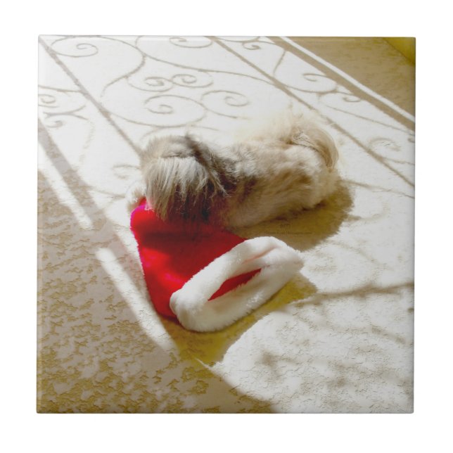 Captured Santa Tile (Front)