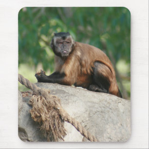 Capuchin Monkey Cute But Cranky Mouse Mat