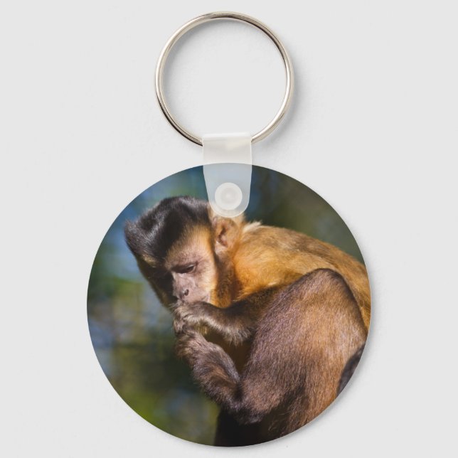 Capuchin Monkey Key Ring (Front)