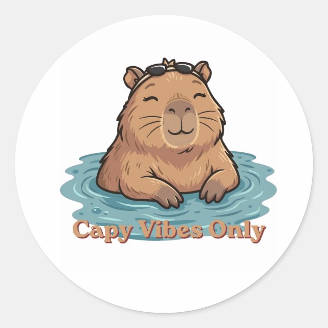 Capy Vibes Only  Classic Round Sticker (Front)