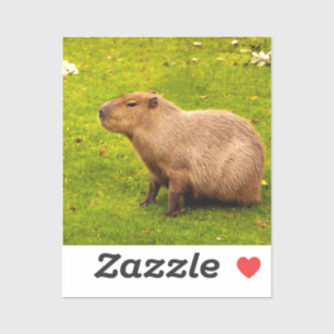 Capybara