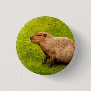 Capybara 3 Cm Round Badge