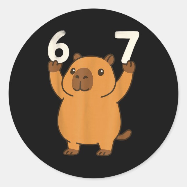 Capybara 67 Meme Six Seven Funny  Classic Round Sticker (Front)