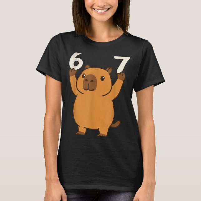 Capybara 67 Meme Six Seven Funny  T-Shirt (Front)