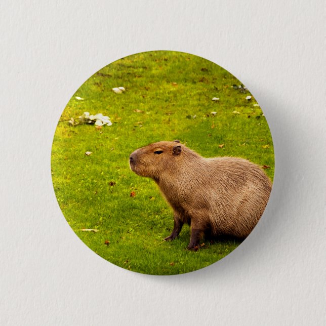 Capybara 6 Cm Round Badge (Front)