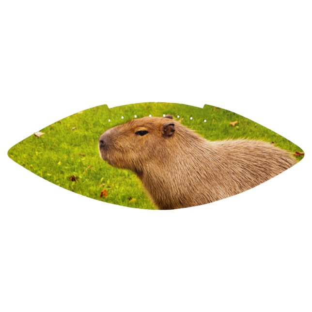Capybara American Football (Panel)