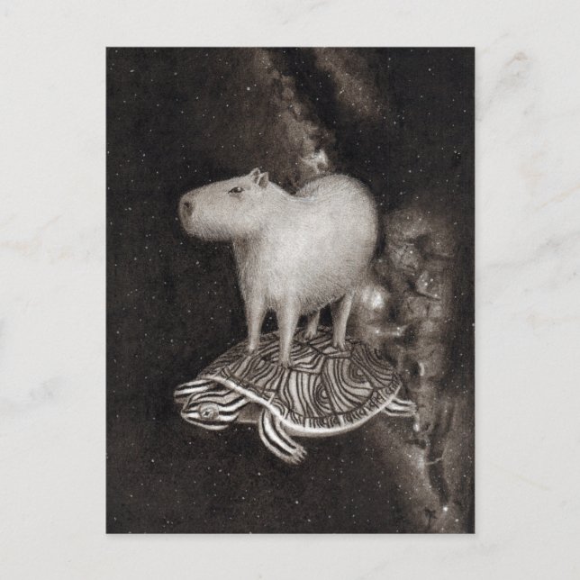 Capybara and Terrapin flying through space drawing Postcard (Front)