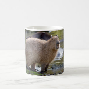 Capybara at the edge of a pond coffee mug