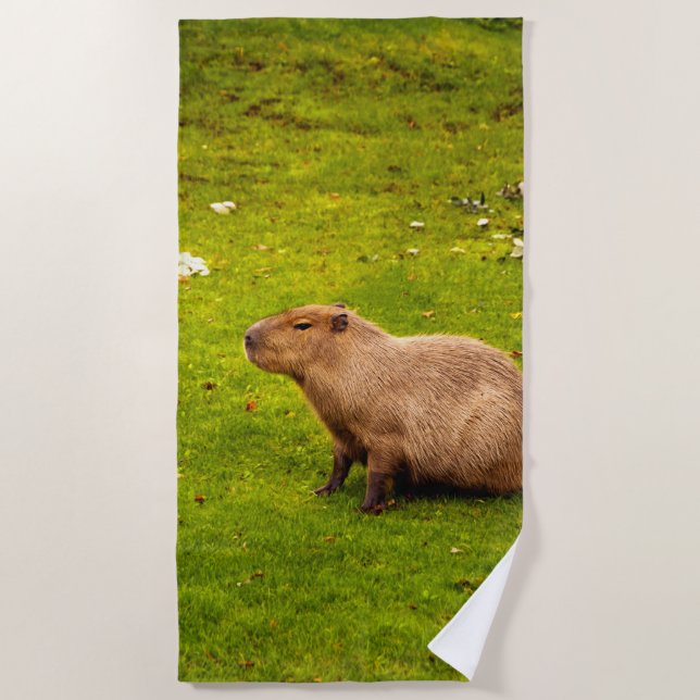 Capybara Beach Towel (Front)