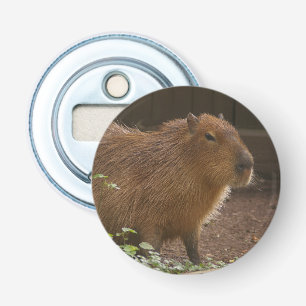 Capybara Bottle Opener