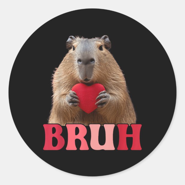Capybara Bruh Meme Funny Saying Teens Boys Valenti Classic Round Sticker (Front)