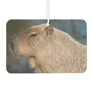Capybara Car Air Freshener