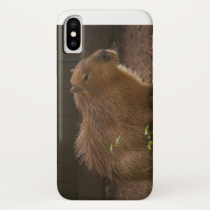 Capybara Case-Mate iPhone Case