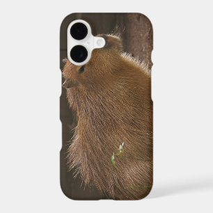 Capybara Case-Mate iPhone Case
