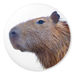 Capybara Ceramic Knob